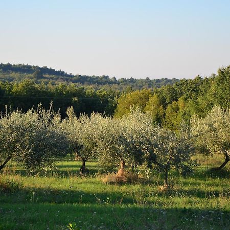 Villa Olivetta By Istrian Country Houses Barat  Eksteriør billede