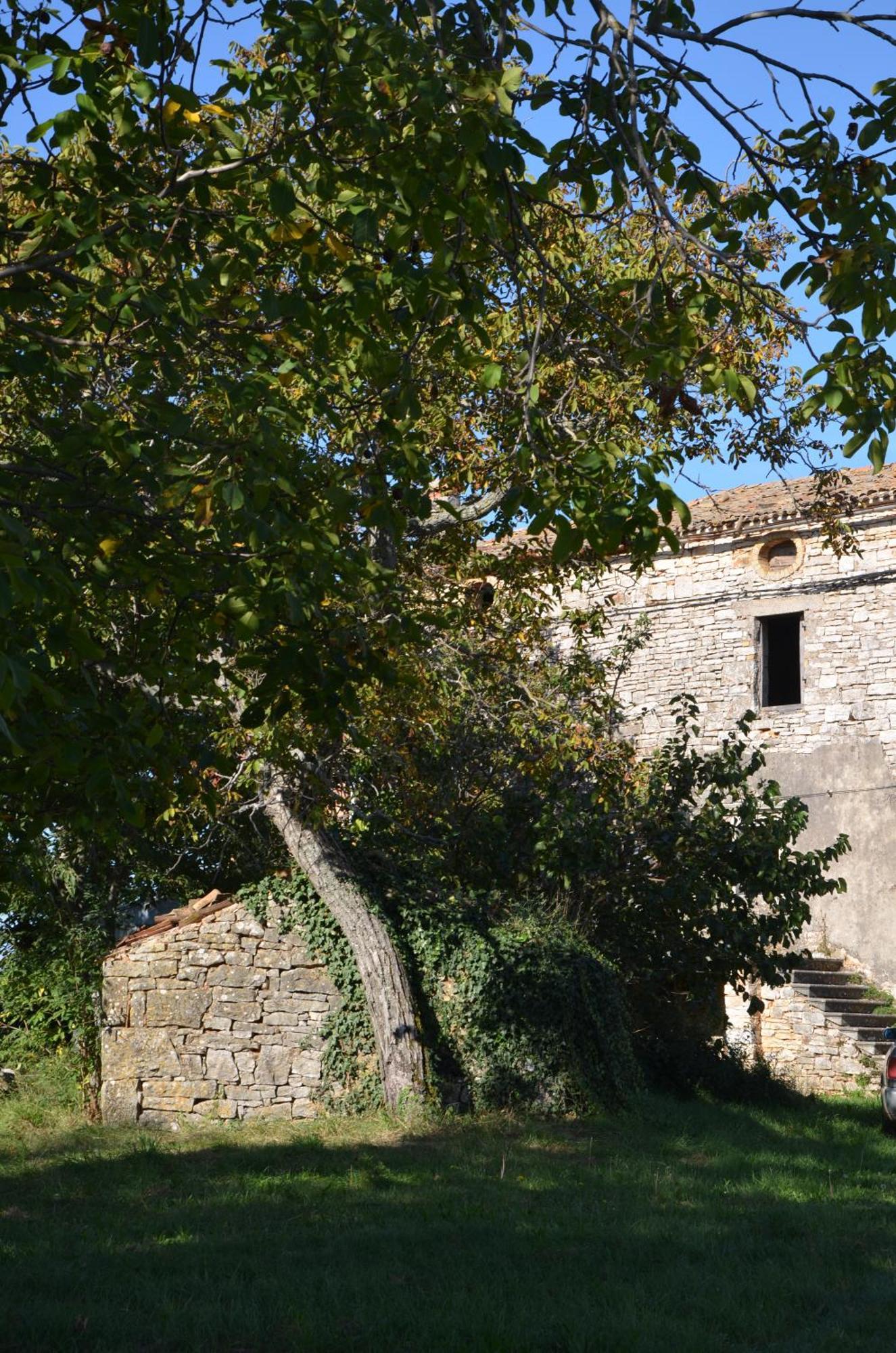Villa Olivetta By Istrian Country Houses Barat  Eksteriør billede