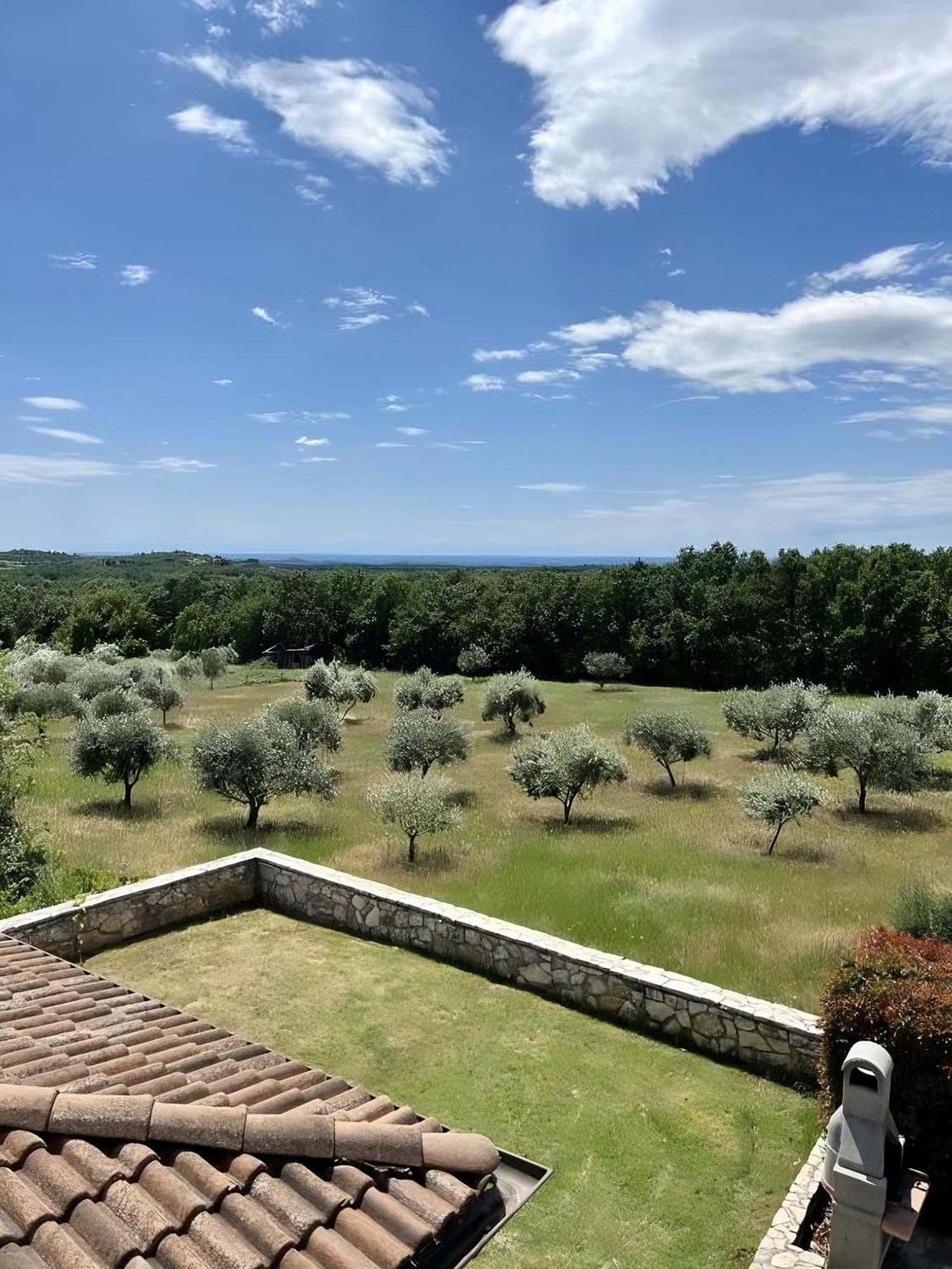Villa Olivetta By Istrian Country Houses Barat  Eksteriør billede