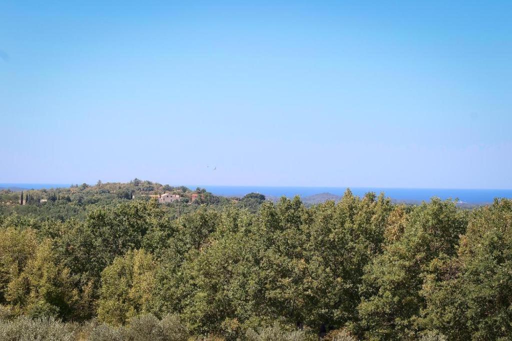 Villa Olivetta By Istrian Country Houses Barat  Eksteriør billede
